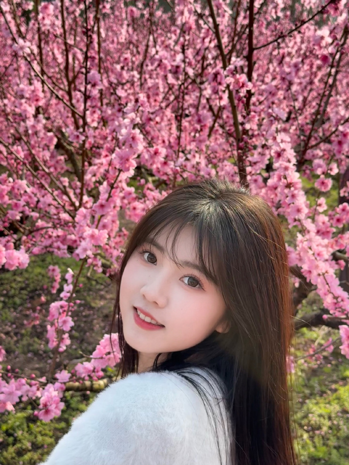 蜘蛛池访问日志的分析方法